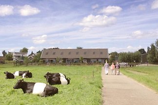 ZH044 - Ferienhaus im...