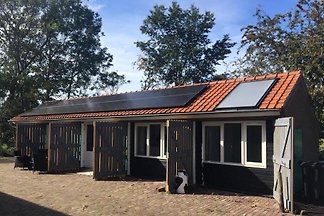 ZE494 - Ferienhaus im Grijpskerke