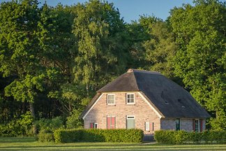 OV246 - Vakantiehuis in Den-Ham