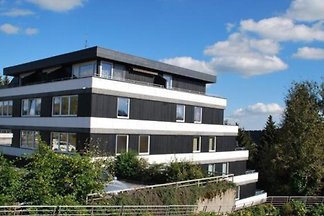 DS239 - Ferienhaus im Winterberg