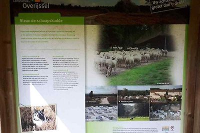 OV260 - Ferienhaus im Beerze