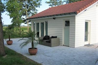 ZE206 - Ferienhaus im Sluis