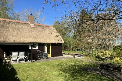 OV449 - Holiday home in Giethoorn