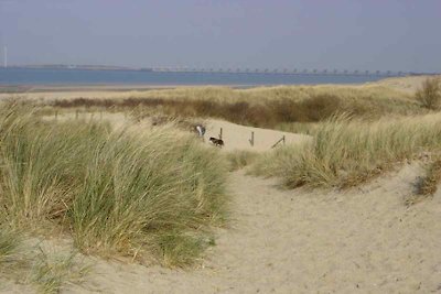 ZE622 - Vakantiehuis in Vrouwenpolder