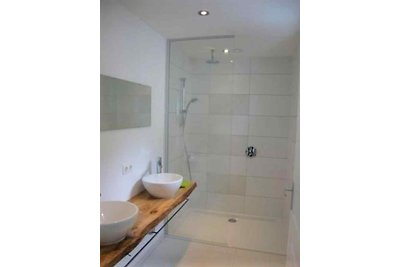 ZE206 - Ferienhaus im Sluis
