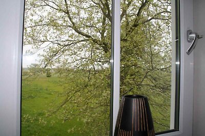 ZE250 - Ferienhaus im Goes