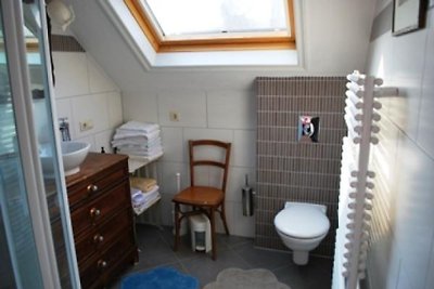 ZE052 - Ferienhaus im Sluis