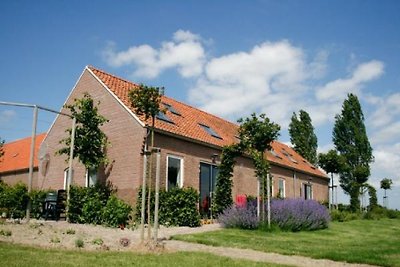 ZE526 - Ferienhaus im Kattendijke
