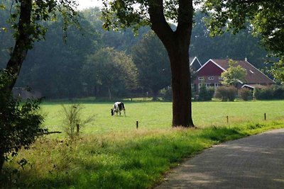 DG358 - Ferienhaus im Lichtenvoorde