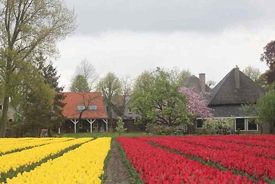 NH346 - Ferienhaus im Twisk