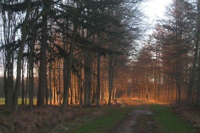 FR260 - Ferienhaus im Wijnjewoude