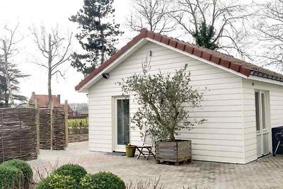 ZE206 - Ferienhaus im Sluis