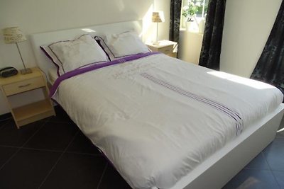 ZE207 - Ferienhaus im Oud-Sabbinge