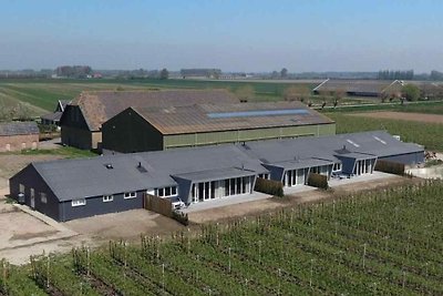 ZE674 - Ferienhaus im Zuidzande