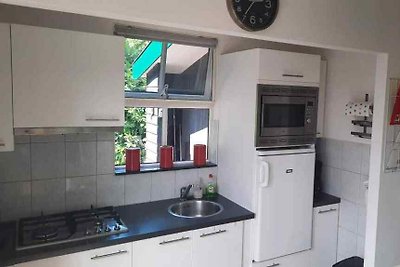 OV260 - Ferienhaus im Beerze
