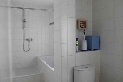 ZE875 - Ferienhaus im Wemeldinge