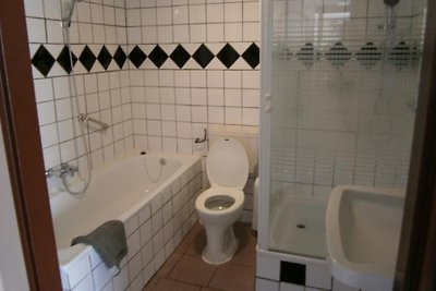 ZE582 - Ferienhaus im Stavenisse