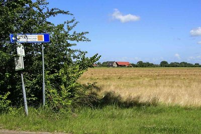 ZE581 - Vakantiehuis in Vrouwenpolder
