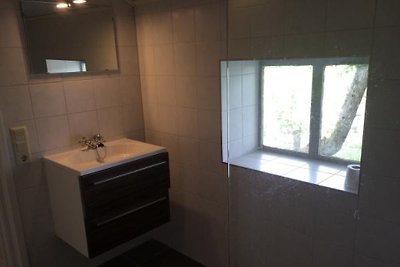 ZE494 - Ferienhaus im Grijpskerke