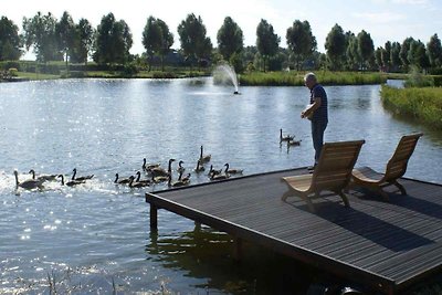 ZE768 - Ferienhaus im Hoofdplaat