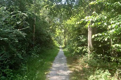 FR287 - Ferienhaus im Beetsterzwaag