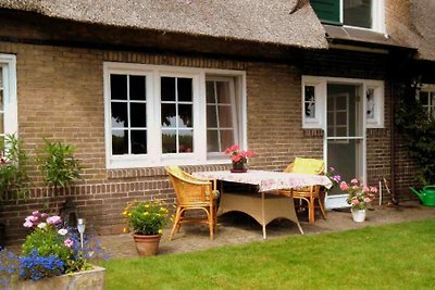 DG526 - Ferienhaus im De Lutte