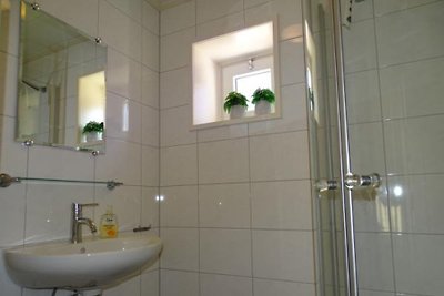 ZE207 - Ferienhaus im Oud-Sabbinge