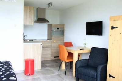 ZE581 - Vakantiehuis in Vrouwenpolder