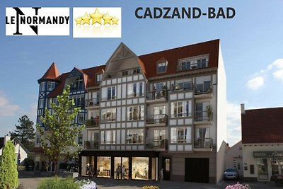 ZE026 - Ferienhaus im Cadzand
