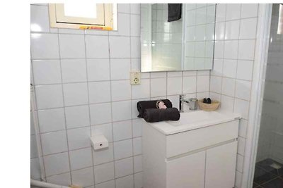 ZE595 - Ferienhaus im Borssele