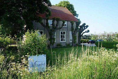 ZE595 - Ferienhaus im Borssele