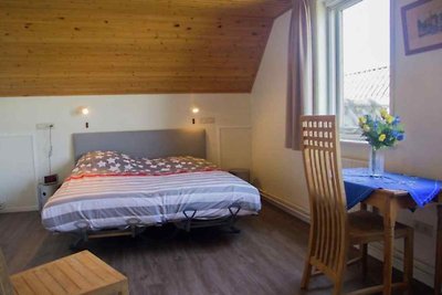 ZE550 - Ferienhaus im Sluis