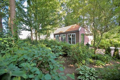 DG473 - Ferienhaus im Netterden