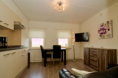 ZE303 - Ferienhaus im Zoutelande
