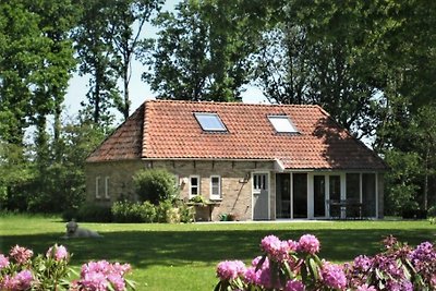 FR260 - Ferienhaus im Wijnjewoude
