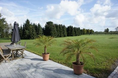 ZE206 - Ferienhaus im Sluis