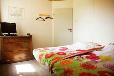 ZE550 - Ferienhaus im Sluis