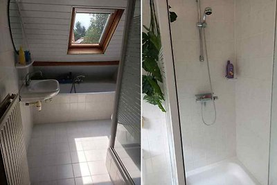 DG803 - Ferienhaus im Putten