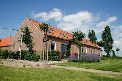 ZE524 - Ferienhaus im Kattendijke
