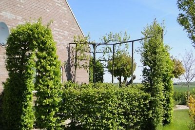 ZE524 - Ferienhaus im Kattendijke
