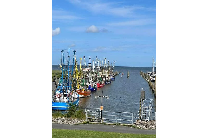 Ferienhaus mit Bootsanleger und Blick auf den Hafen - perfekt für Wassersportler!