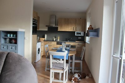 Holiday home relaxing holiday Dorum