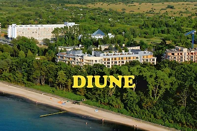 DIUNE D31A Appartement auf der Düne