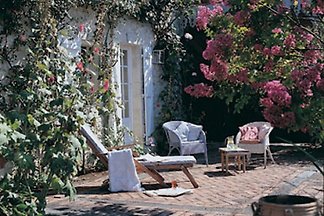***Font Losse