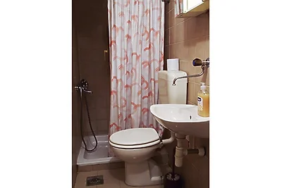 *** Apartments Travas