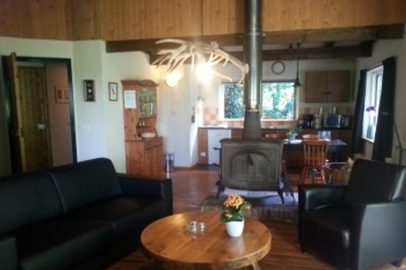 FR119 , Ferienhaus im Wald. - Ferienhaus in Makkinga mieten