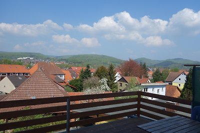 Terrassenwohnung im Harzer Landhaus