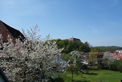 Terrassenwohnung im Harzer Landhaus