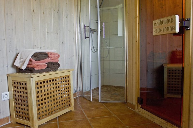 Sauna and Shower