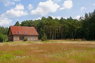 Ferienhaus Waldhof